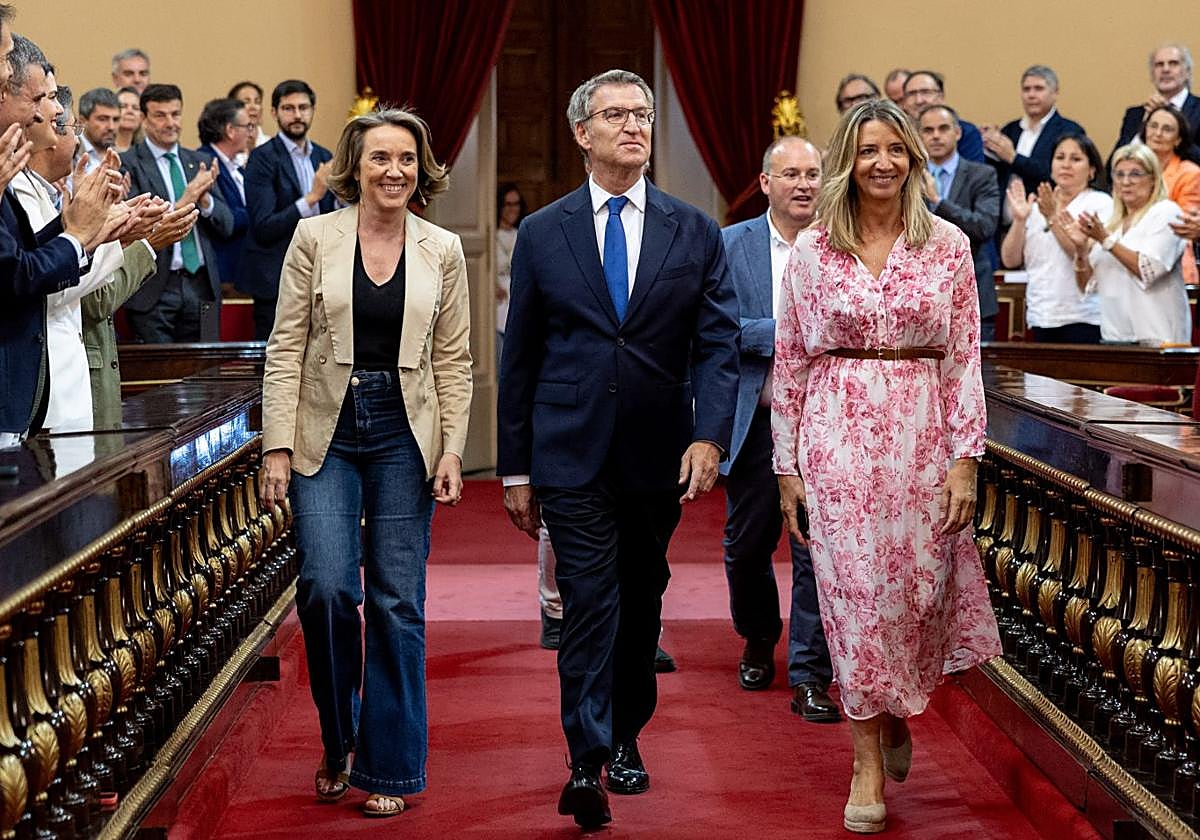 Feijóo, en la reunión de su grupo parlamentario en el Senado