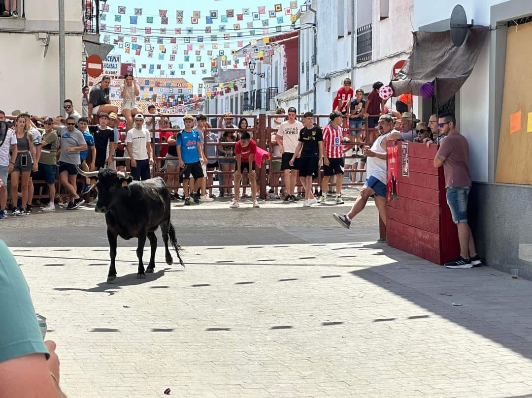 Las imágenes del primer encierro taurino de El Viso por Santa Ana