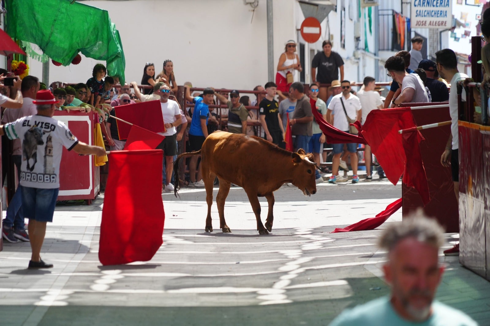 Las imágenes del primer encierro taurino de El Viso por Santa Ana