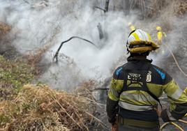 Tenerife, a la caza del pirómano: detenido el autor del incendio de La Esperanza de hace dos semanas