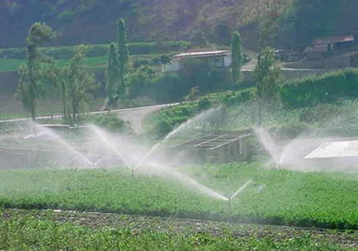 Explotación agrícola de regadío