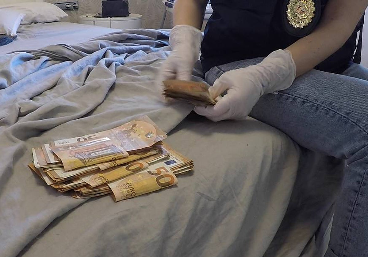 Dinero en efectivo intervenido en los registros de la operación 'Frankenstein'