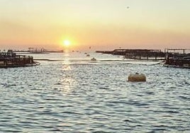 CUPRA Tavascan: Diseño y Tecnología al Servicio de la Electrificación