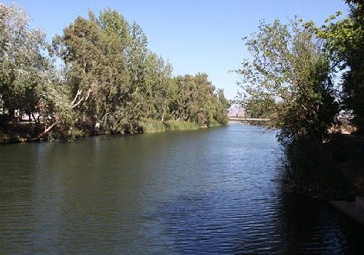 Alertan del riesgo para el río Bullaque de una macrogranja de 4.000 cerdos prevista en El Robledo