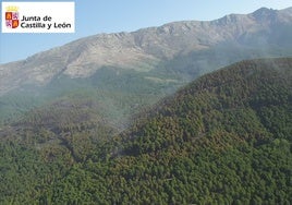 Bajo control el incendio forestal provocado en El Hornillo (Ávila)