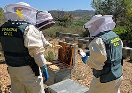 Investigan a 11 personas por vender miel ecológica con pesticidas procedente de China