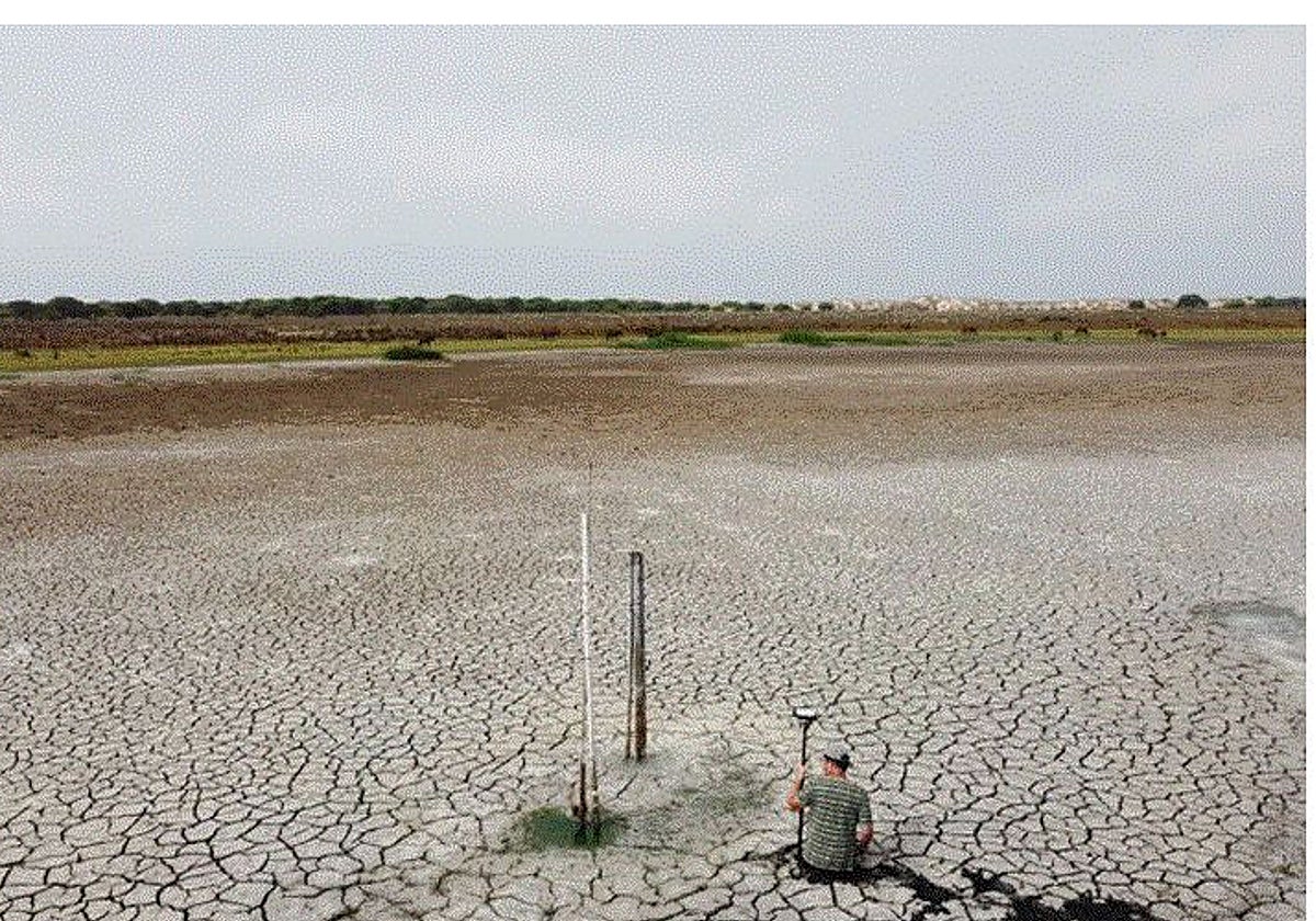 Imagen de hace unos meses de una de las lagunas de Doñana completamente seca