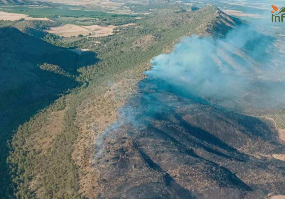 Extinguido el incendio forestal declarado el viernes en Tobarra