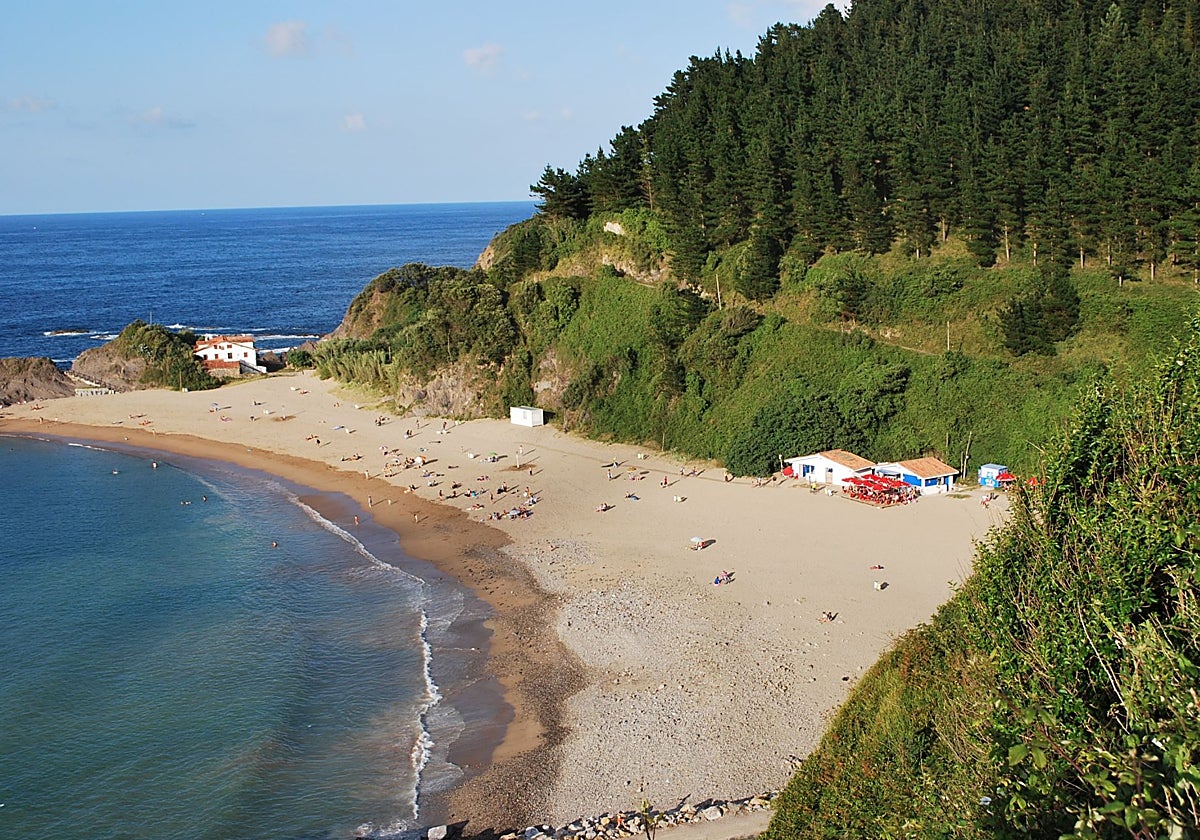 El entorno natural de la playa está protegido, lo que permite disfrutar de una biodiversidad única