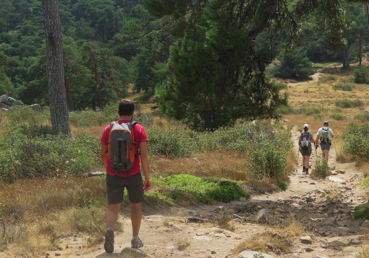 Una de las nuevas Rutas Verdes