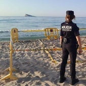 Sorpresa en una playa de Benidorm: una tortuga boba desova en la arena ante la mirada de los bañistas