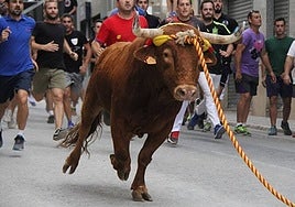 Chiva suspende el Torico de la Cuerda: el pueblo valenciano pidió la autorización fuera del plazo legal