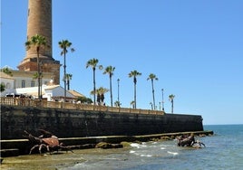 Inaugurado en Chipiona el conjunto escultórico «Cangrejos en el litoral gaditano»