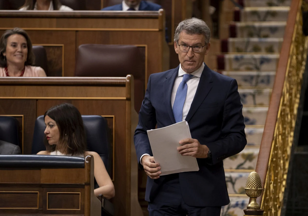 El presidente del PP, Alberto Núñez Feijóo, en el Congreso