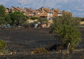 El fuego arrasa ya 1.100 hectáreas en Madrid, seis veces más que el verano 2023