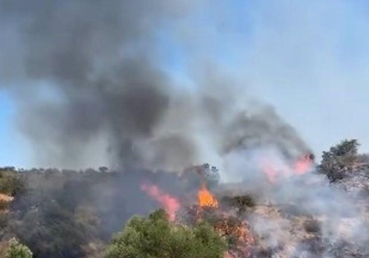 Imágenes del incendio en San Silvestre de Guzmán, en la provincia de Huelva