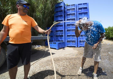 Las cumbres y el sur de Gran Canaria superarán temperaturas de hasta 37ºC