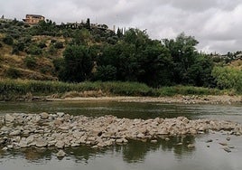 La Cátedra del Tajo asegura que no se ha reducido el caudal del río en Toledo