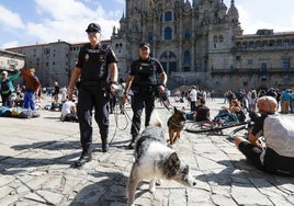 Santiago sanciona a 385 personas por comportamientos incívicos