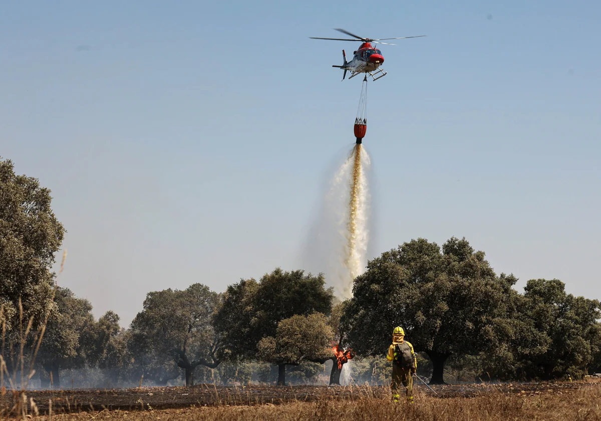 Medio de extinción, este domingo, en Campillo de Azaba (Salamanca)