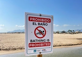 La sequía agrava la contaminación fluvial y prohíben el baño en zonas de playa de Oliva