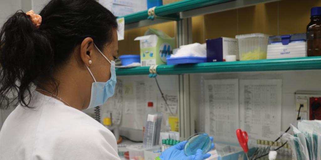 Sanidad notifica el primer caso importado de virus Oropouche en Canarias