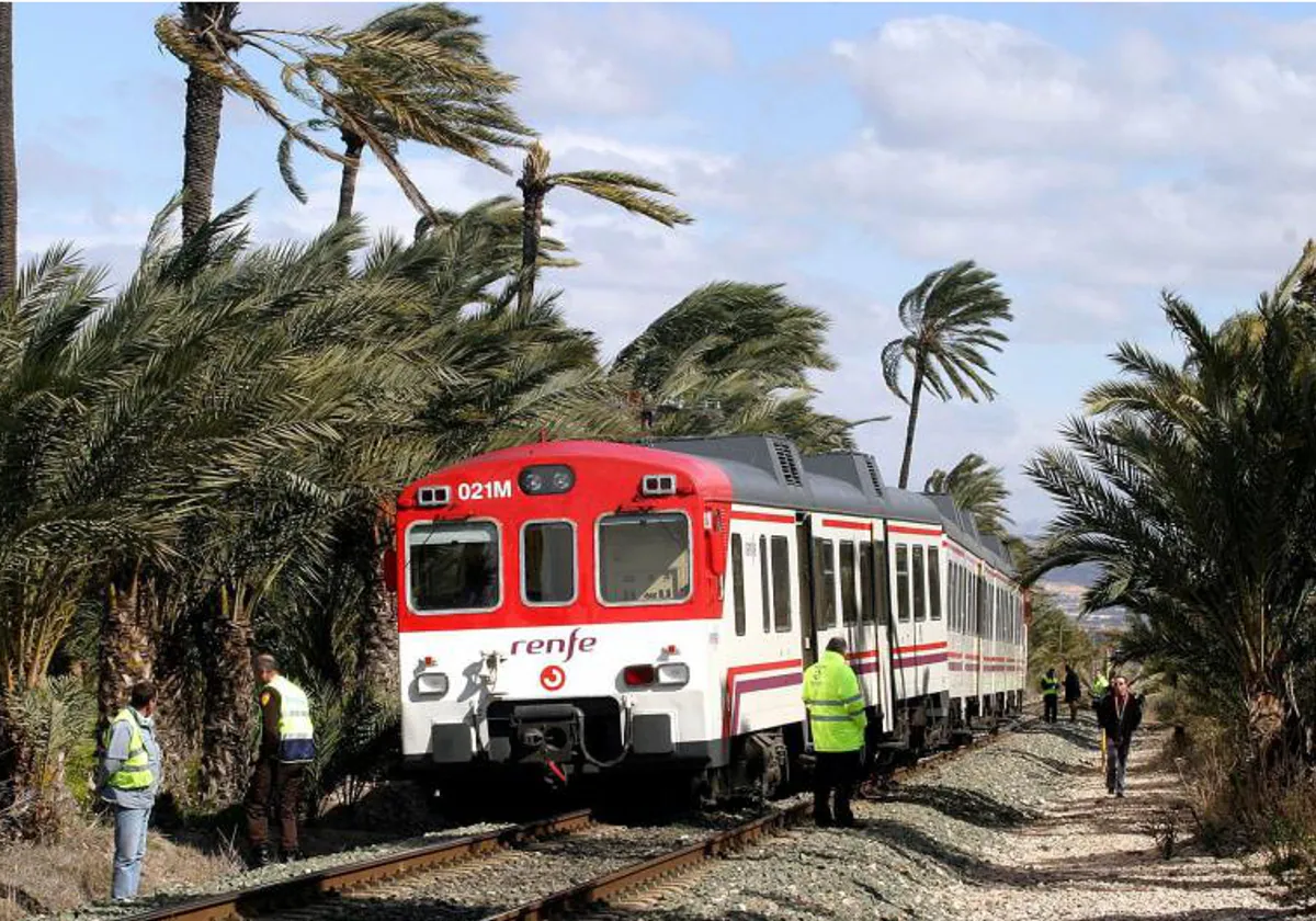 Imagen de un tren de Cercanías de la línea Alicante-Murcia tras un descarrilamiento por una palmera caída sobre las vías