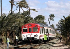 Cortan el tráfico de Cercanías entre Murcia y Alicante tras caer un árbol y descarrilar un tren