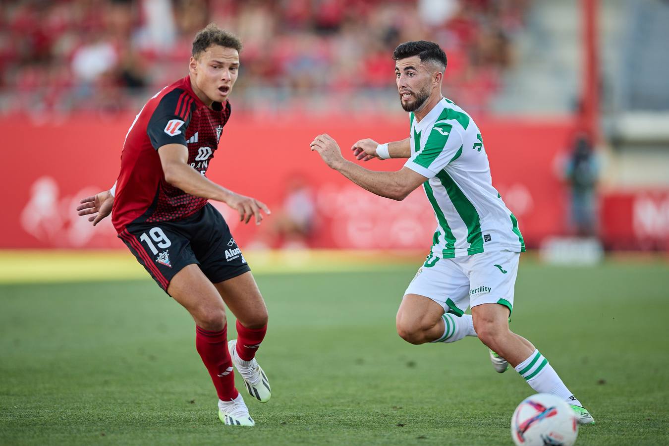 Fotos: el partido del Córdoba ante el Mirandés