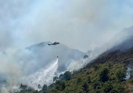 La década de las cenizas en la Sierra de Mijas