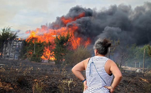 Medios aéreos y terrestres trabajan en la extinción de un incendio en Aldea de la Valdoncina (León)