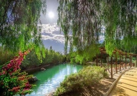 Andalucía en Flor celebra en Carmona su gala anual de entrega de premios la a conciencia verde de pueblos y ciudades