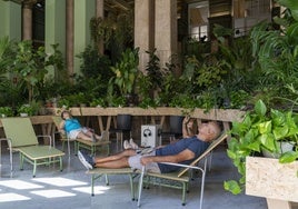 Una guardería secreta de plantas en el Círculo más bello de la calle Alcalá