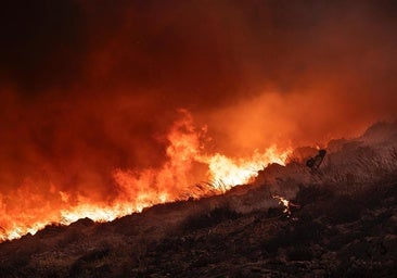 Infoca: quince días con la brigada del fuego