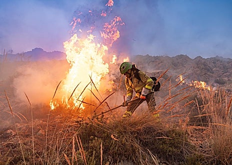 Imagen secundaria 1 - Un avión lanza una descarga de retardante en Marbella. Francisco Berlanga trata de apagar una llama y Rafael Torres ahoga el fuego con la punta de lanza de la manguera. 