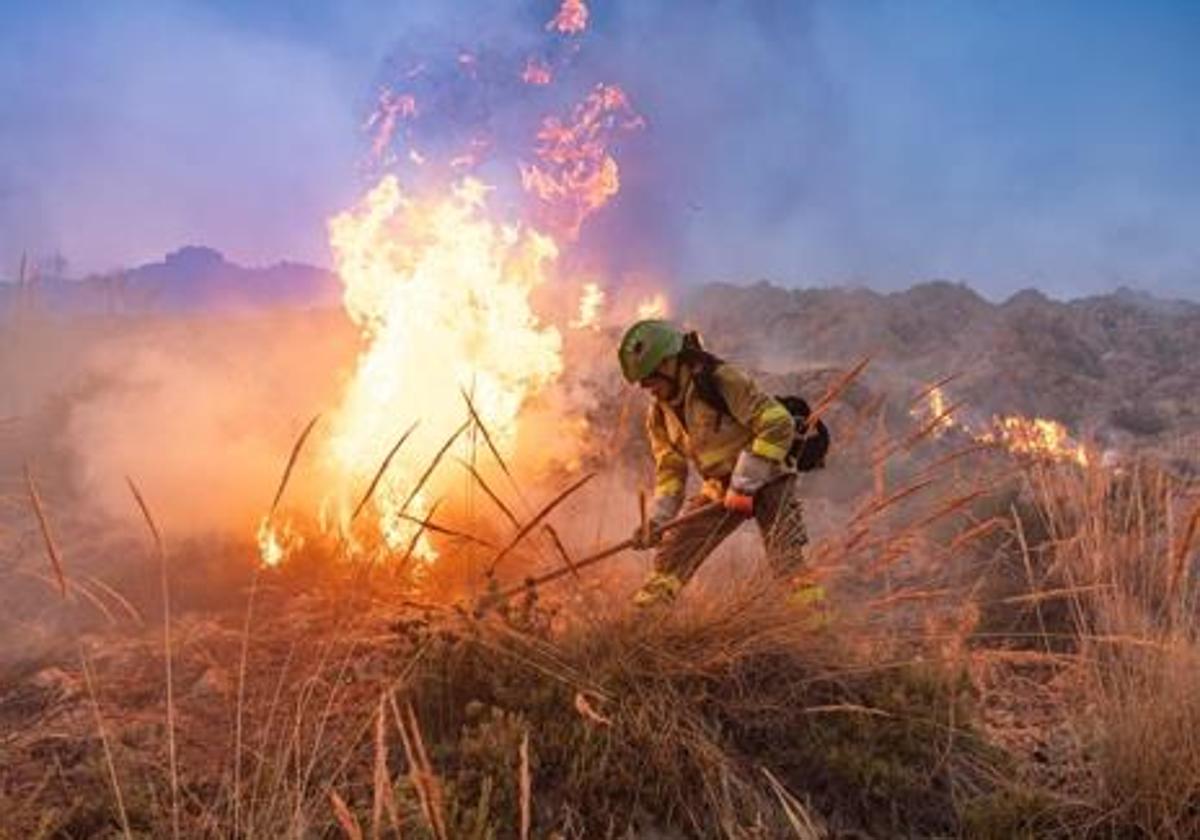 El uso de fuegos artificiales en zonas forestales conlleva serios riesgos para el entorno natural