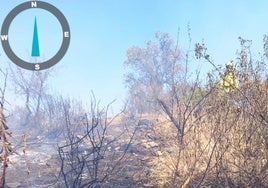 El Infoca da por controlado el incendio junto al parque natural de Cardeña-Montoro