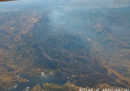 El incendio de Andújar quema una reserva de bisontes y linces