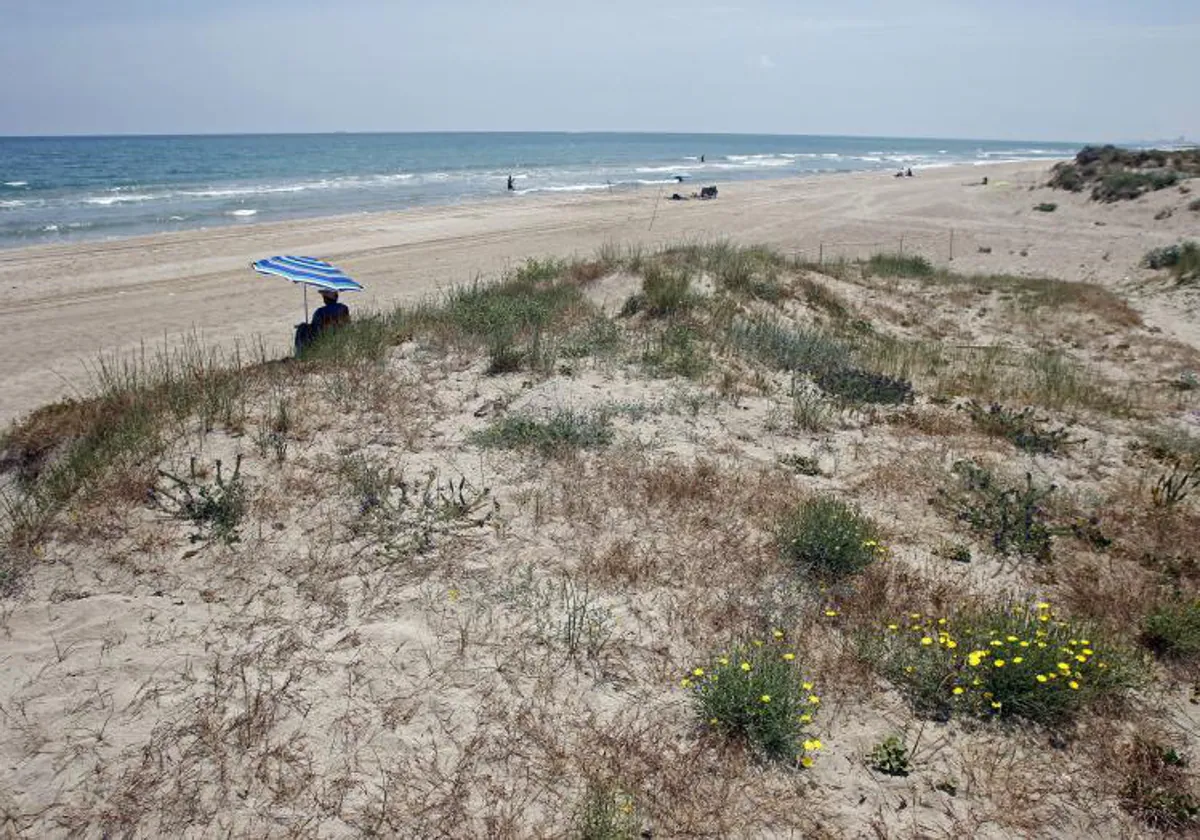 Imagen de archivo de la Playa de la Garrofera de Valencia