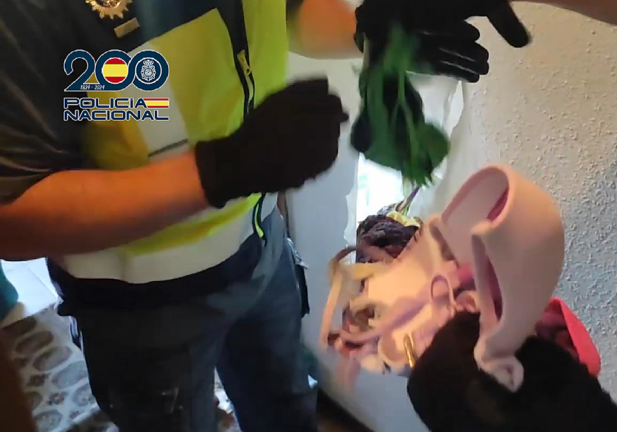 Imágenes del registro de la vivienda