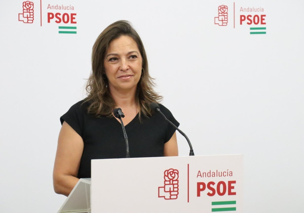 La diputada socialista Isabel Ambrosio