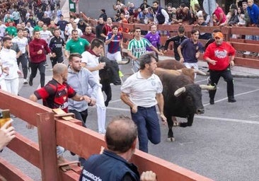 Muere un hombre por una herida por asta de toro en un encierro de un pueblo de Guadalajara