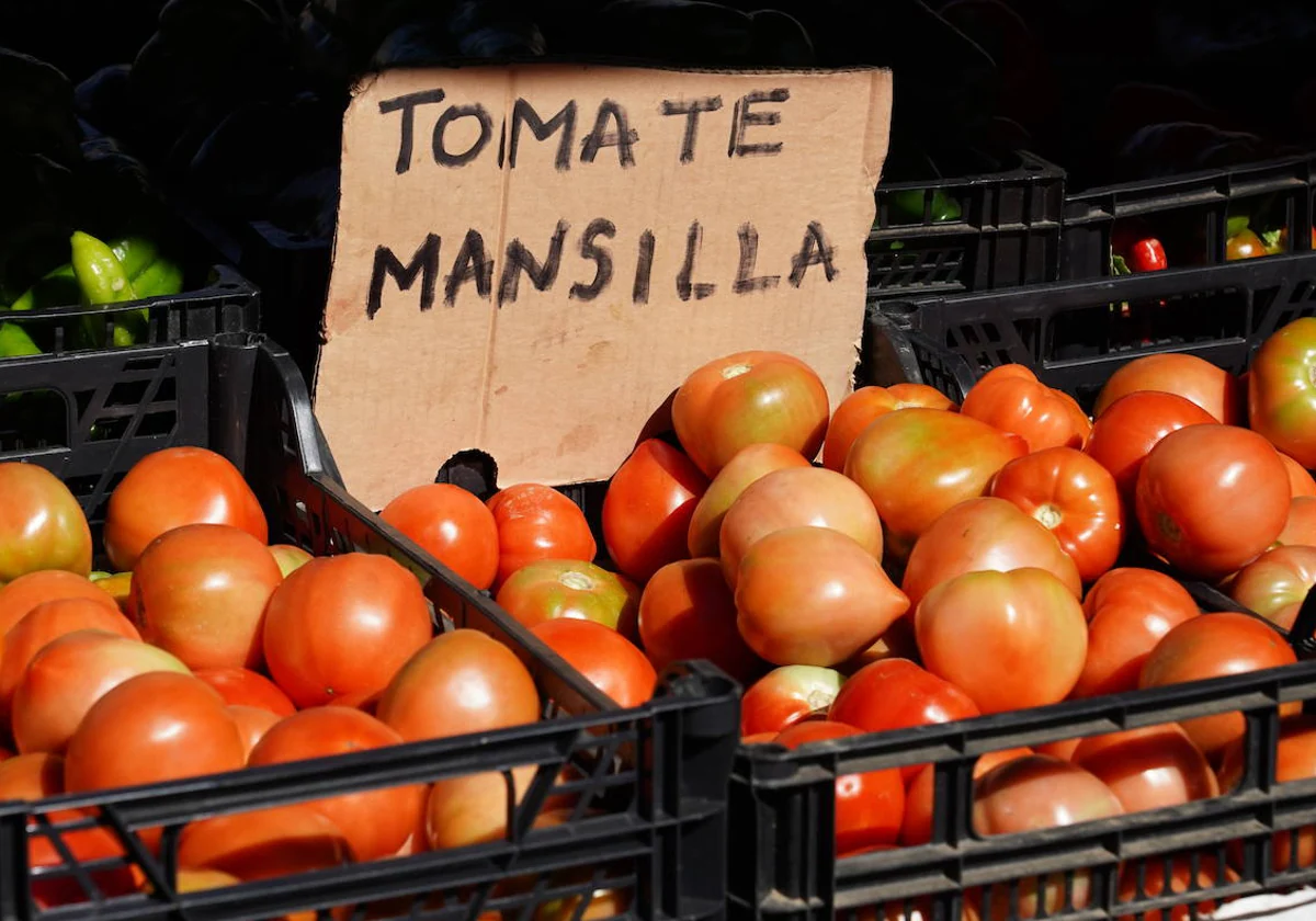 Celebración de la XXV edición de la Feria del Tomate de Mansilla de las Mulas