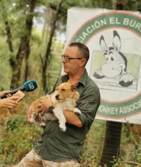 Imagen secundaria 2 - Arriba, un mastín vaga por el Parque Nacional. Abajo, a la izquierda, galgos abandonados que ha logrado recuperar la asociación 'El Burrito Feliz'. A la derecha, el presidente de esta organización, Luis Bejarano