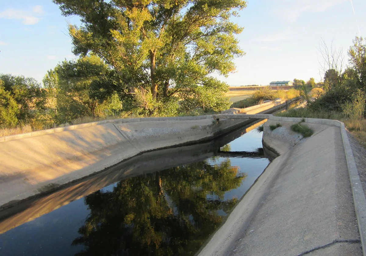 Aparece el cadáver de una persona en avanzado estado de descomposición en el río Henares, en Guadalajara