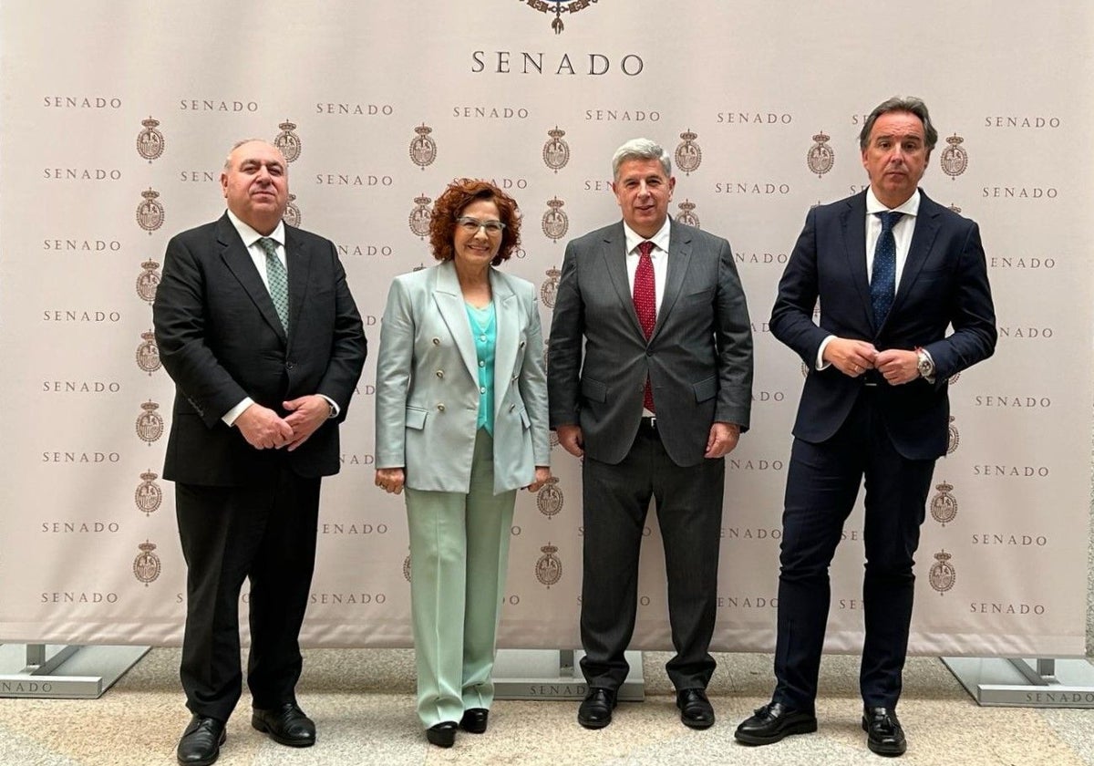 Vicente Tirado, Carmen Riolobos, Miguel Ángel de la Rosa e Israel Pérez