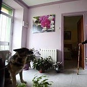 Andalucía refuerza la dependencia y revisa los criterios del copago