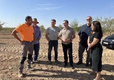 Las ayudas para inversiones en explotaciones agrarias y ganaderas contribuyen a a crear nuevas empresas