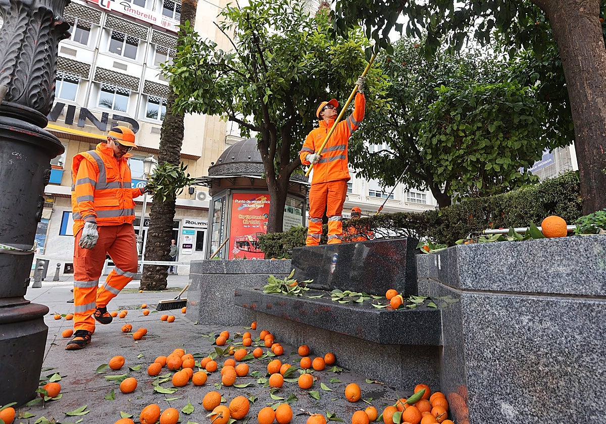 Trabajadores de Sadeco recogen naranjas en la Plaza de las Tendillas