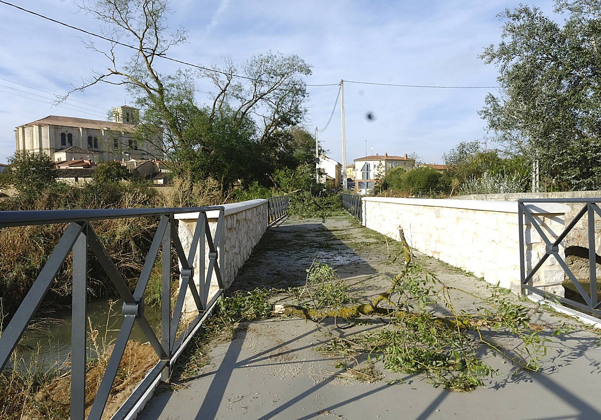 Medina de Rioseco estudia pedir la declaración de zona catastrófica tras los daños ocasionados por la tormenta del sábado